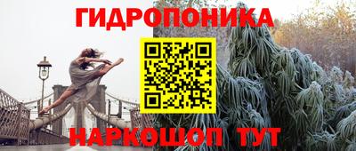 спиды Краснознаменск