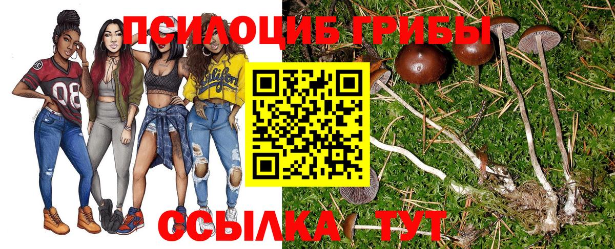 Псилоцибиновые грибы ЛСД Гусев