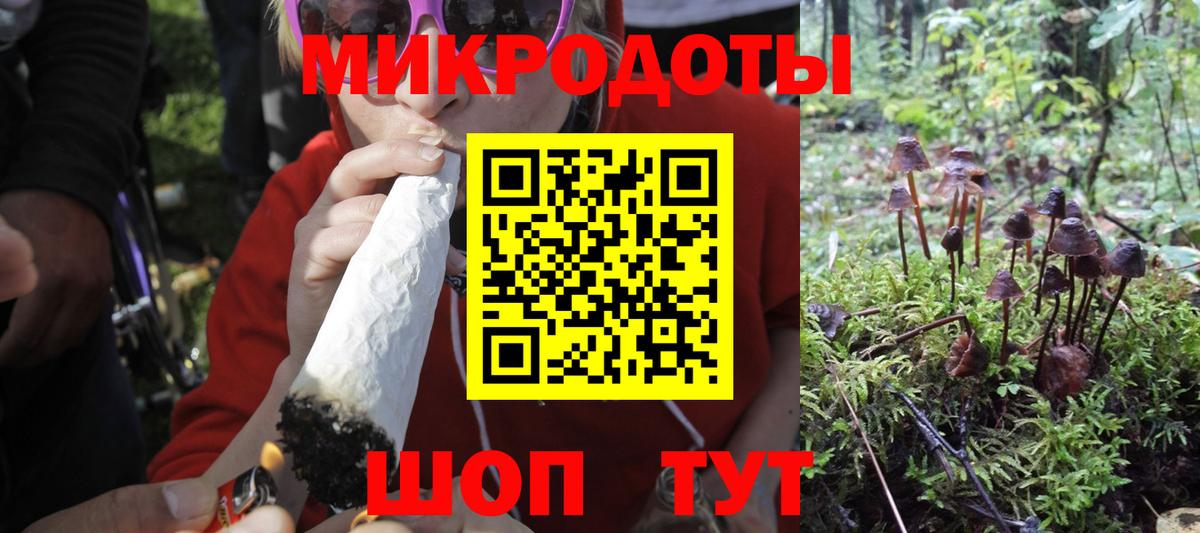 Гусев  Псилоцибиновые грибы мухоморы  Галлюциногенные грибы GOLDEN TEACHER  Вход с VPN 